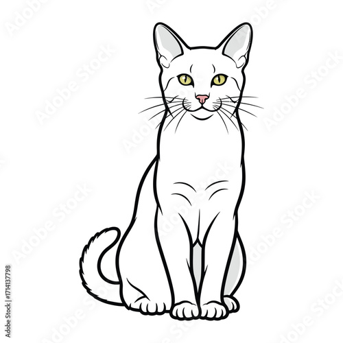 Abyssinian cat: A regal Abyssinian cat in an elegant pose. its fur shimmers with sophistication and a playful allure.