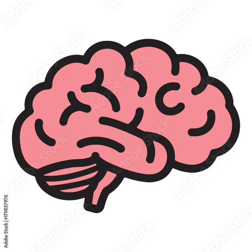 Anatomy of the Human Brain A Detailed Illustration of the Cerebrum, Cerebellum, and Brainstem