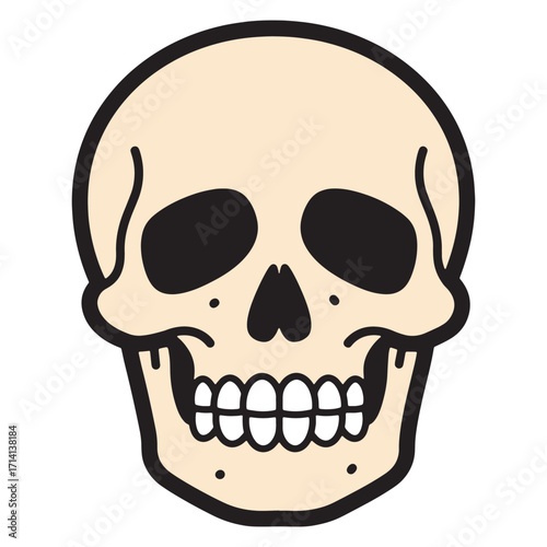 Stylized human skull illustration with detailed teeth and eye sockets, perfect for anatomical or artistic projects