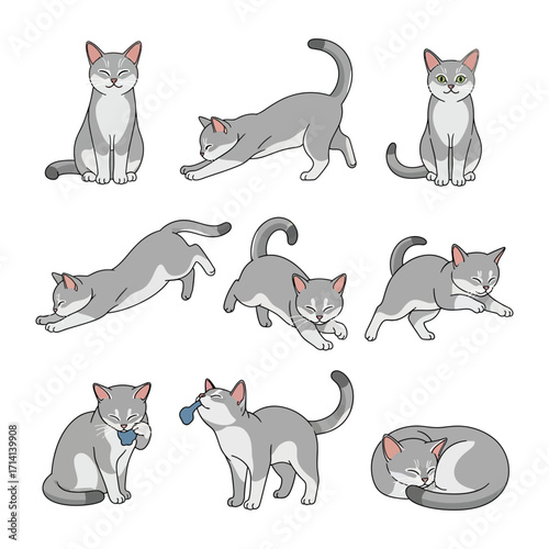 Cute Cat in Action: Captivating illustrations of a charming cat in various playful poses, exuding adorable expressions and highlighting its delightful character.