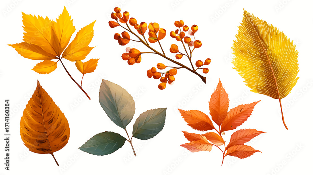 Obraz premium Victor cartoon vintage botanical autumn leaves illustration, element set on white background, showcasing warm earthy tones, intricate hand-drawn details, delicate textures, perfect for seasonal design