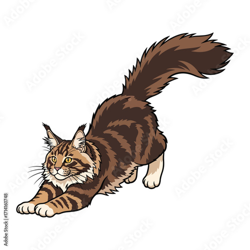 Playful Maine Coon Cat: A digitally rendered illustration of a Maine Coon cat, exhibiting playful behaviors like stretching, showcases its striking striped coat, full tail, and charming features. 