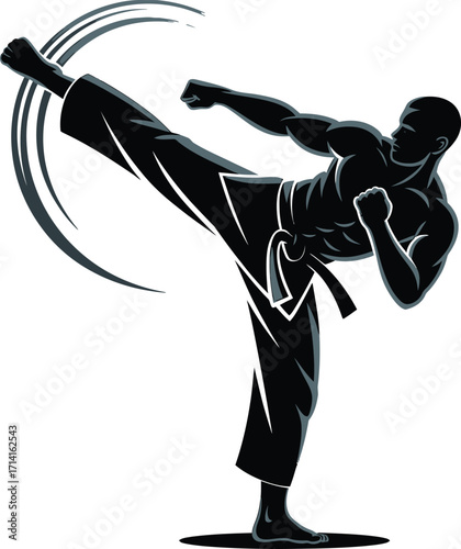 Dynamic Martial Arts Master in Action Silhouette Striking a Powerful Kick with Focused Determination