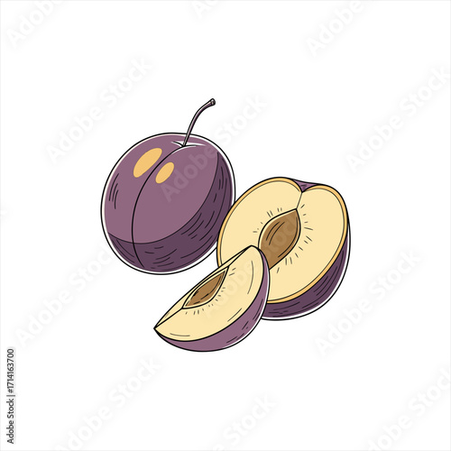 Illustration of a whole plum cut plum and plum slice on white background