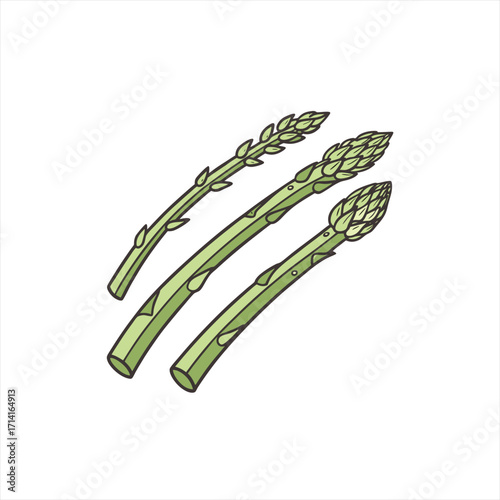 Hand drawn illustration of three green asparagus spears on a white background