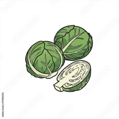 Illustration of fresh brussels sprouts with one cut in half