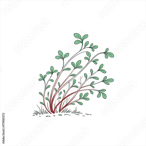 Stylized illustration of a small green plant with red stems growing from the ground