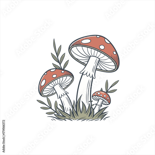 Whimsical illustration of red and white spotted mushrooms with green leaves