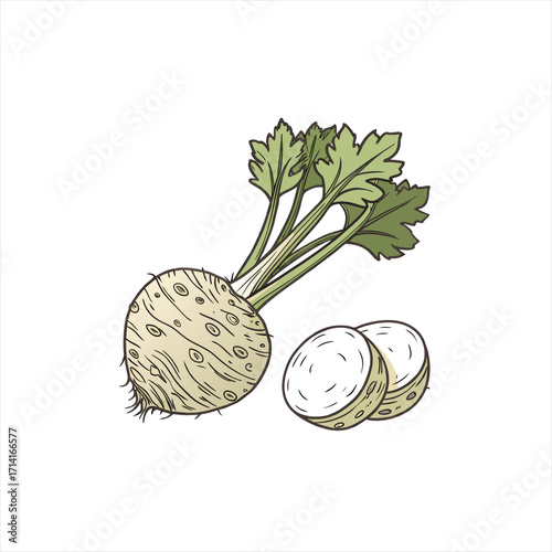 Celery root vegetable with sliced pieces and green leaves