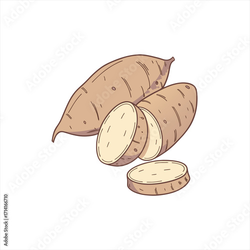 Illustration of a whole and sliced sweet potato on a white background