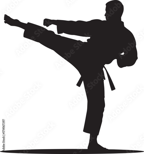 Dynamic Karate Kick Silhouette Vector Illustration for Martial Arts Training and Self Defense