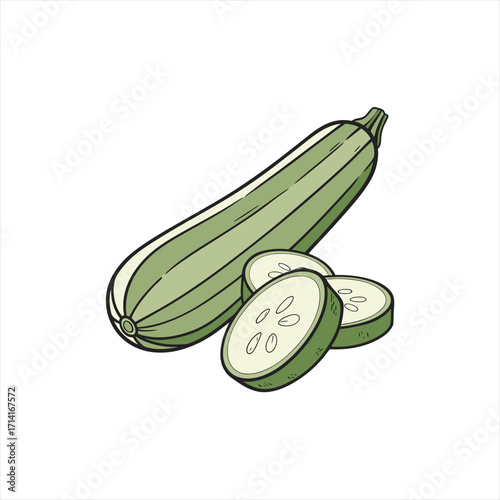 Illustration of a whole zucchini and three sliced zucchini pieces