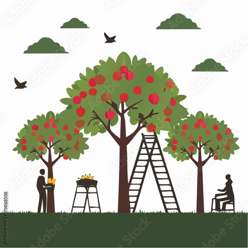 Harvest season joy: People picking ripe apples from orchard trees under a sunny sky, enjoying nature