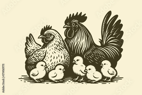 Chicken family engraved vintage sketch vector illustration