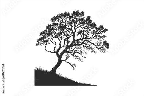 black cherry  tree vector  illustration