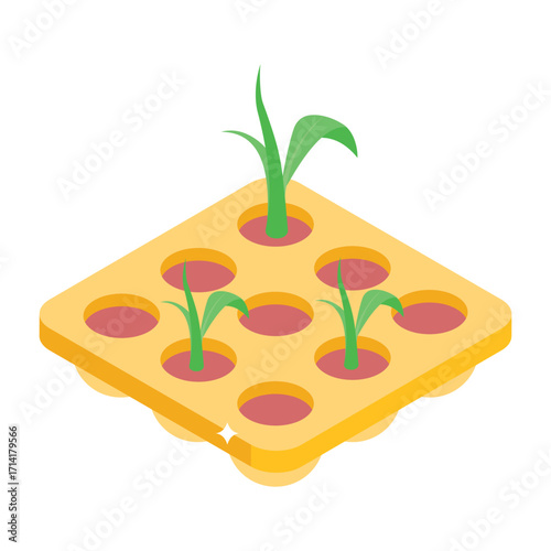 Modern isometric style icon of seedling tray layout