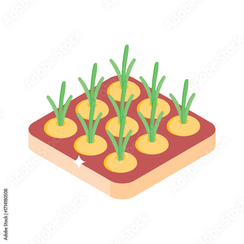 Sleek isometric style icon of carrot cultivation rows