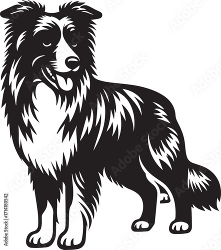 Border Collie Dog Vector Illustration, Black and White Silhouette, Pet Animal Design