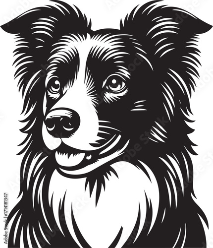 Border Collie Dog Vector Illustration, Black and White Silhouette, Pet Animal Design