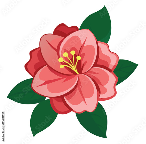 azalea flower vector on white background