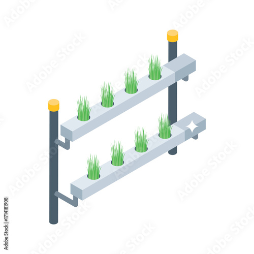 Modern isometric style icon of wall hydroponics shelves