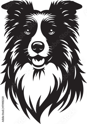 Border Collie Dog Vector Illustration, Black and White Silhouette, Pet Animal Design
