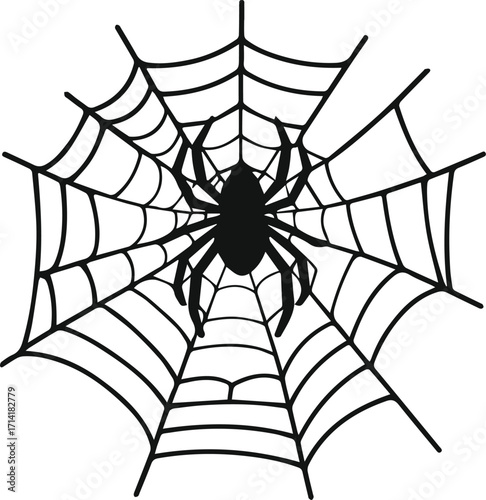 spider web vector