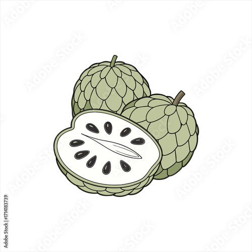 Illustration of two whole custard apples and one cut in half