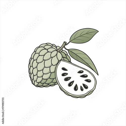 Illustration of a custard apple fruit with a slice showing seeds and leaves