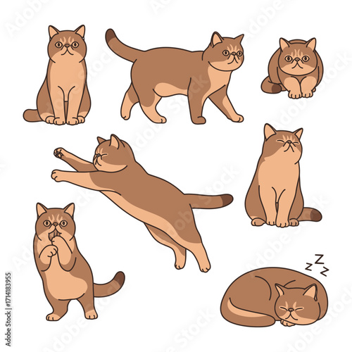 Exotic Cat Illustrations Collection: This captivating illustration presents a charming collection of playful exotic cats in various poses, conveying a spectrum of emotions and behaviors.
