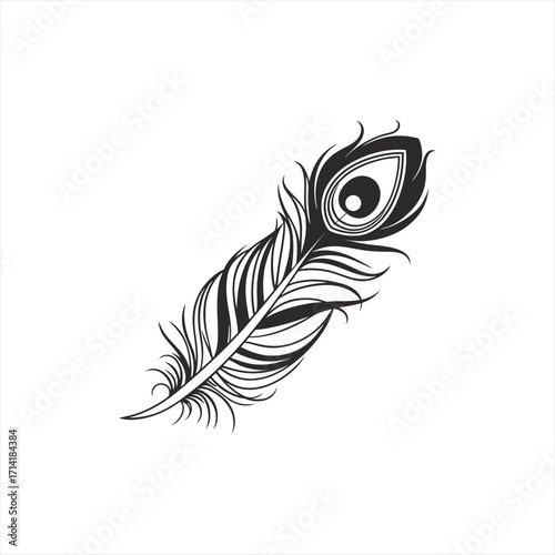 Elegant black and white peacock feather illustration