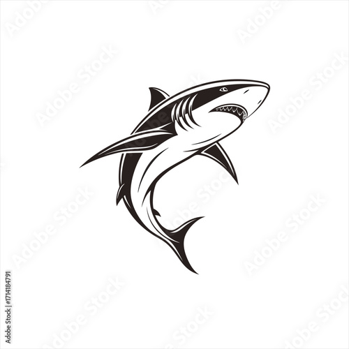 Aggressive shark illustration with open mouth and sharp teeth