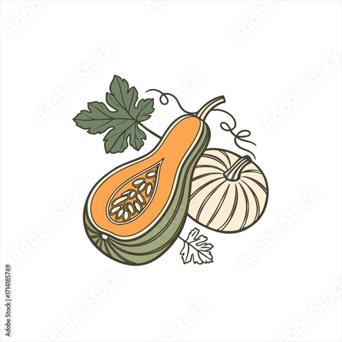 Butternut squash and pumpkin with leaves and vines