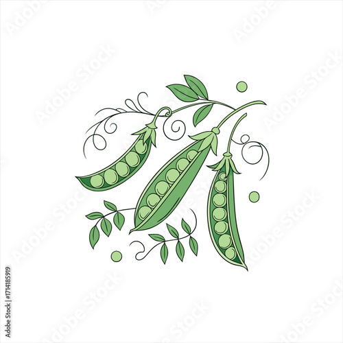 Decorative illustration of three green pea pods with leaves and swirls