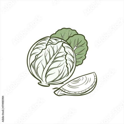 Stylized illustration of a cabbage head with leaves and a slice