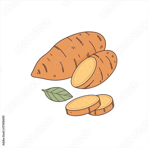 Hand drawn illustration of sweet potatoes with leaves and slices