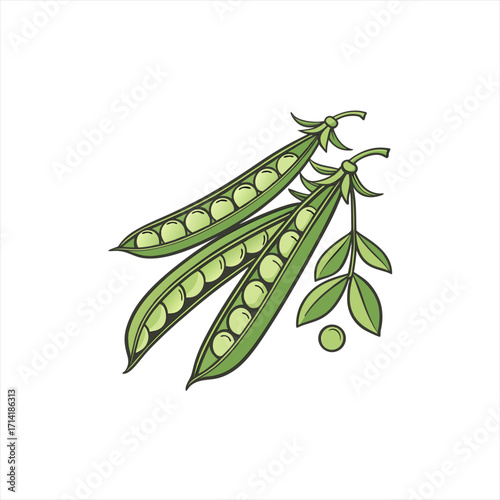 Fresh green peas in pods with leaves and a single pea