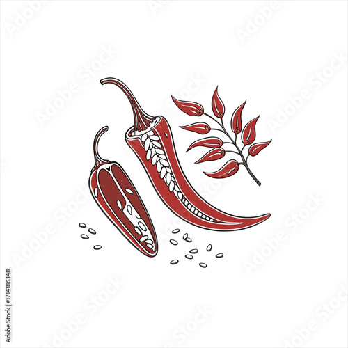 Red chili peppers and seeds illustration