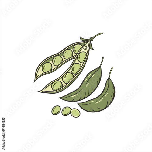 Fresh green peas in pods and loose peas illustration