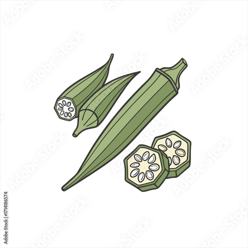 Illustration of fresh okra pods and slices on a white background