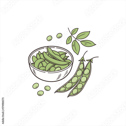 Hand drawn illustration of fresh green peas in a bowl with pods and leaves