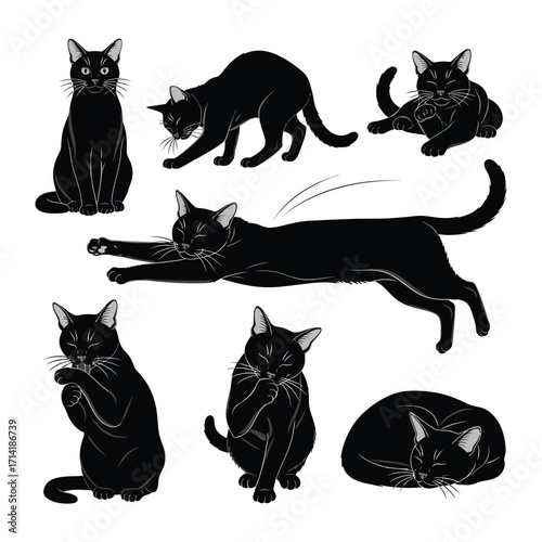 Graceful Silhouette of a Black Cat: A collection of stylized illustrations presents the enigmatic beauty of a sleek black cat, captured in various elegant poses.