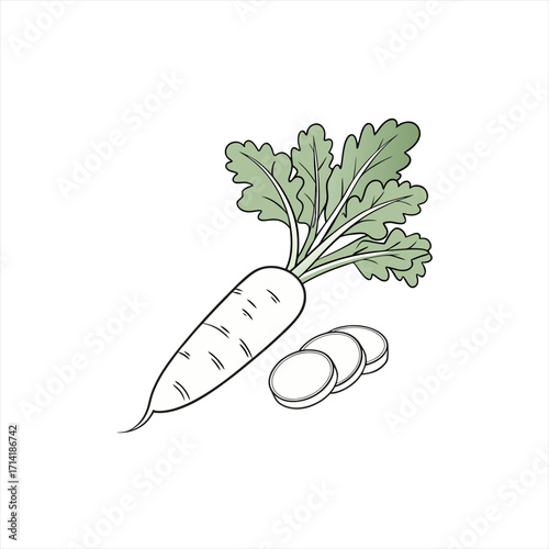 Daikon radish with sliced pieces and green leaves