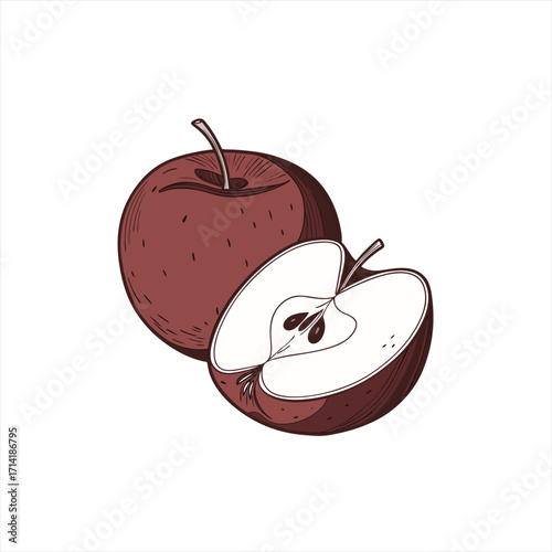 Hand drawn illustration of a whole apple and a halved apple