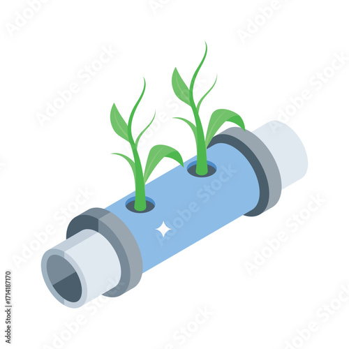 Ready to use isometric style icon of growing hydroponics process