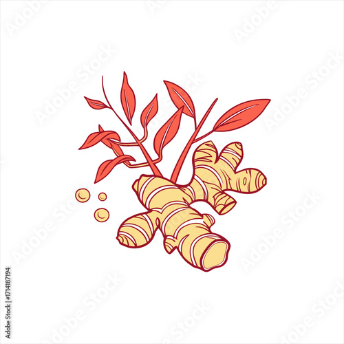 Stylized illustration of fresh ginger root with red leaves and small circles