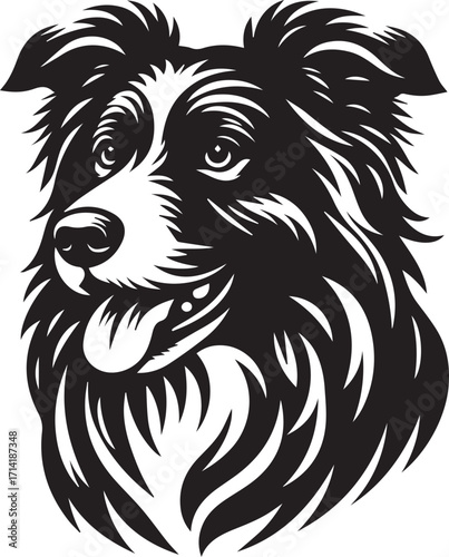 Border Collie Dog Vector Illustration, Black and White Silhouette, Pet Animal Design