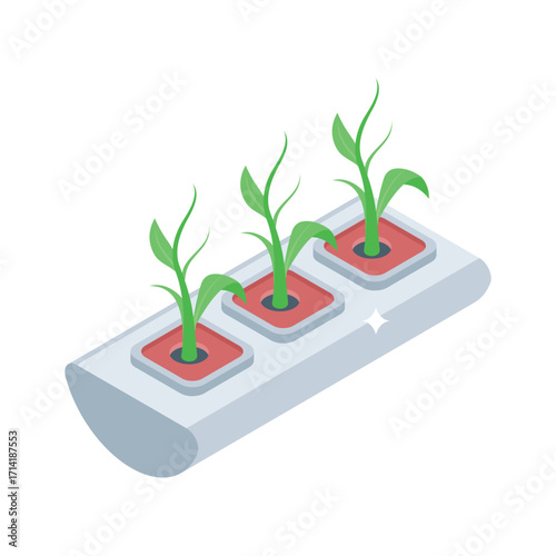 Handy isometric style icon of open hydroponic plantation