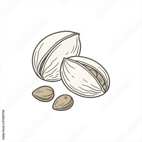 Illustration of pistachios with shells and kernels on a white background