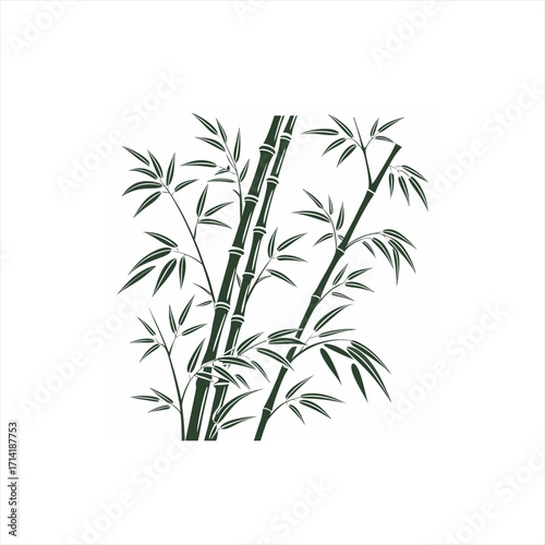 Dark green bamboo stalks and leaves on a white background